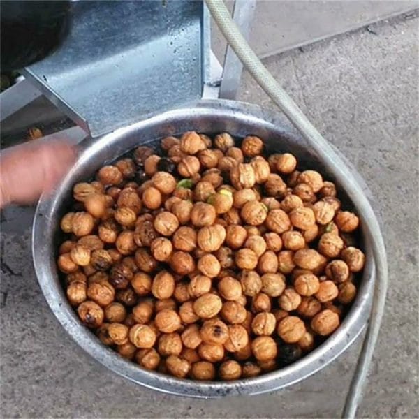Macadamia nut shelling